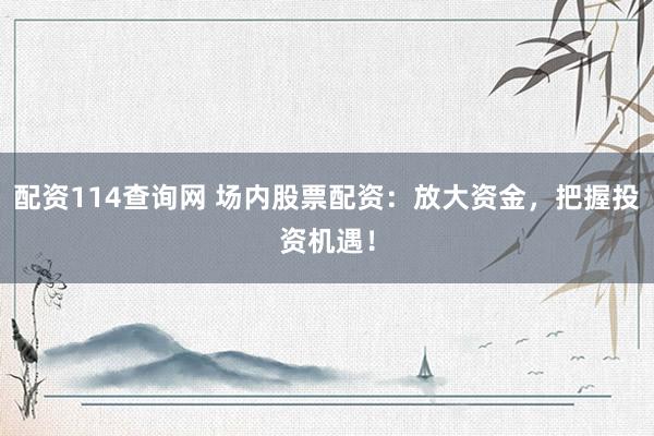 配資114查詢網(wǎng) 場內(nèi)股票配資：放大資金，把握投資機遇！