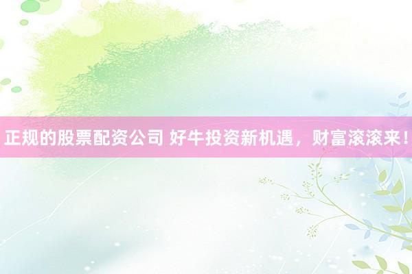 正規(guī)的股票配資公司 好牛投資新機(jī)遇，財(cái)富滾滾來！