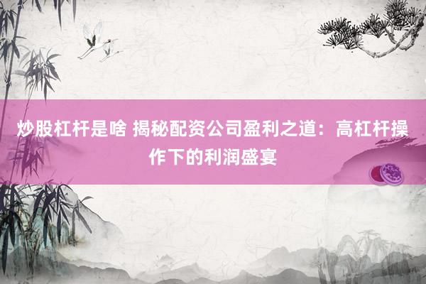 炒股杠桿是啥 揭秘配資公司盈利之道：高杠桿操作下的利潤盛宴
