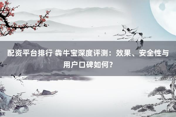配資平臺排行 犇牛寶深度評測：效果、安全性與用戶口碑如何？