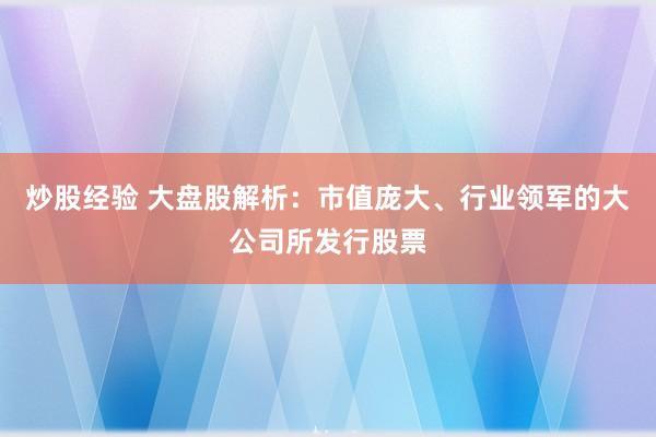 炒股經(jīng)驗 大盤股解析：市值龐大、行業(yè)領軍的大公司所發(fā)行股票